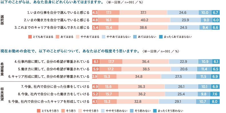 図表1　「個人選択感」の測定項目